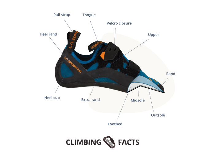 anatomy of a climbing shoe