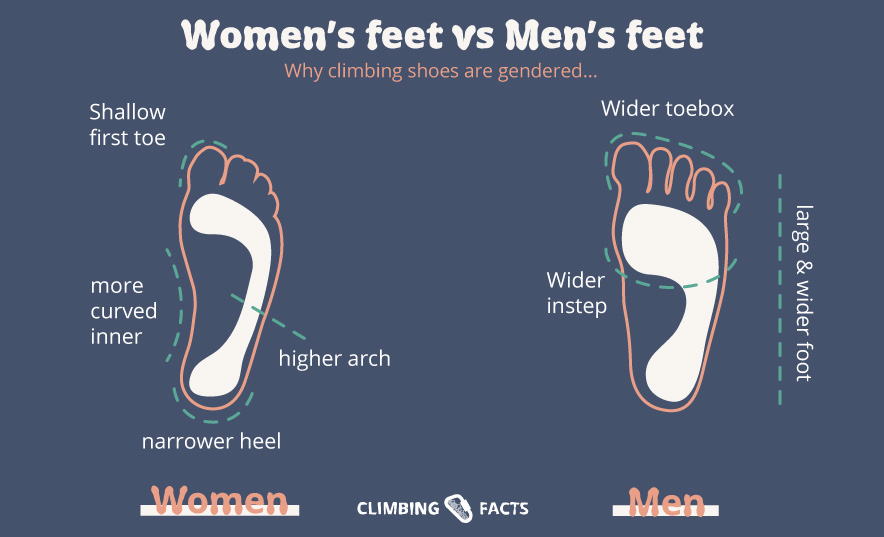 womens feet are typically different from mens feet. this is why men's climbing shoes tend to be higher volume than womens climbing shoes