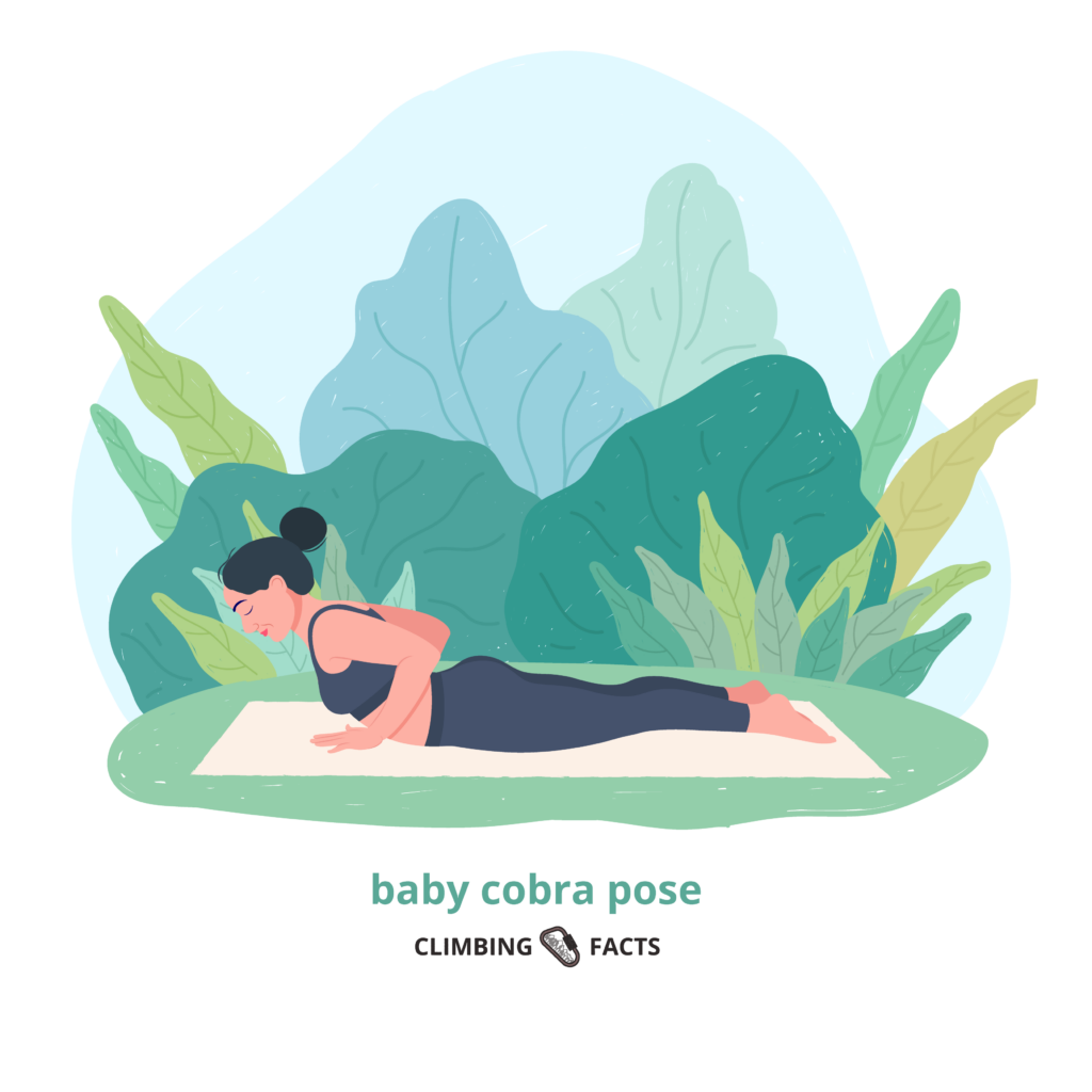baby cobra pose is an easier variation of the cobra pose