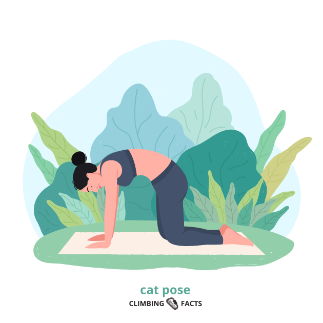 cat pose is a yoga pose for climbers to increase their flexibility and help with breathing