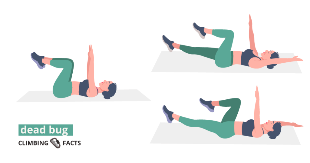 the deadbug is a good core exercise for rock climbers
