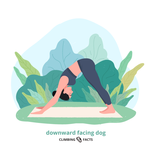 downward facing dog is a great yoga pose for climbers