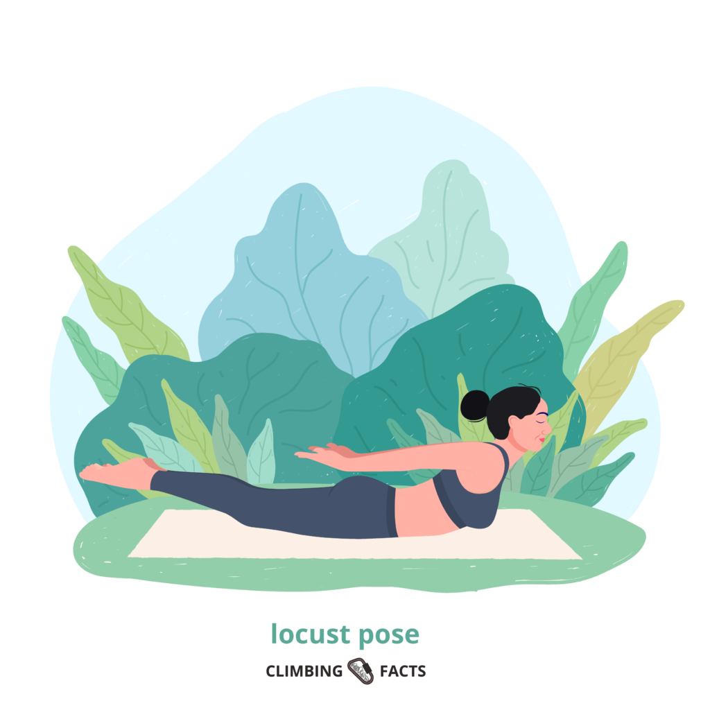locust pose is a yoga pose for climbers to increae core streight, back muscles, flexibility and more