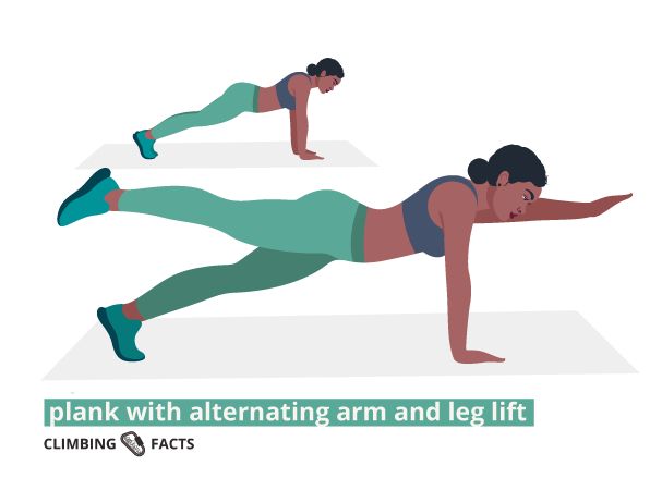 plank with alternating arm and leg lift is a core and ab exercise that benefits rock climbers